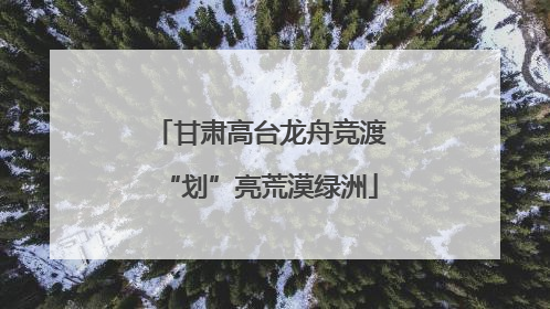 甘肃高台龙舟竞渡“划”亮荒漠绿洲